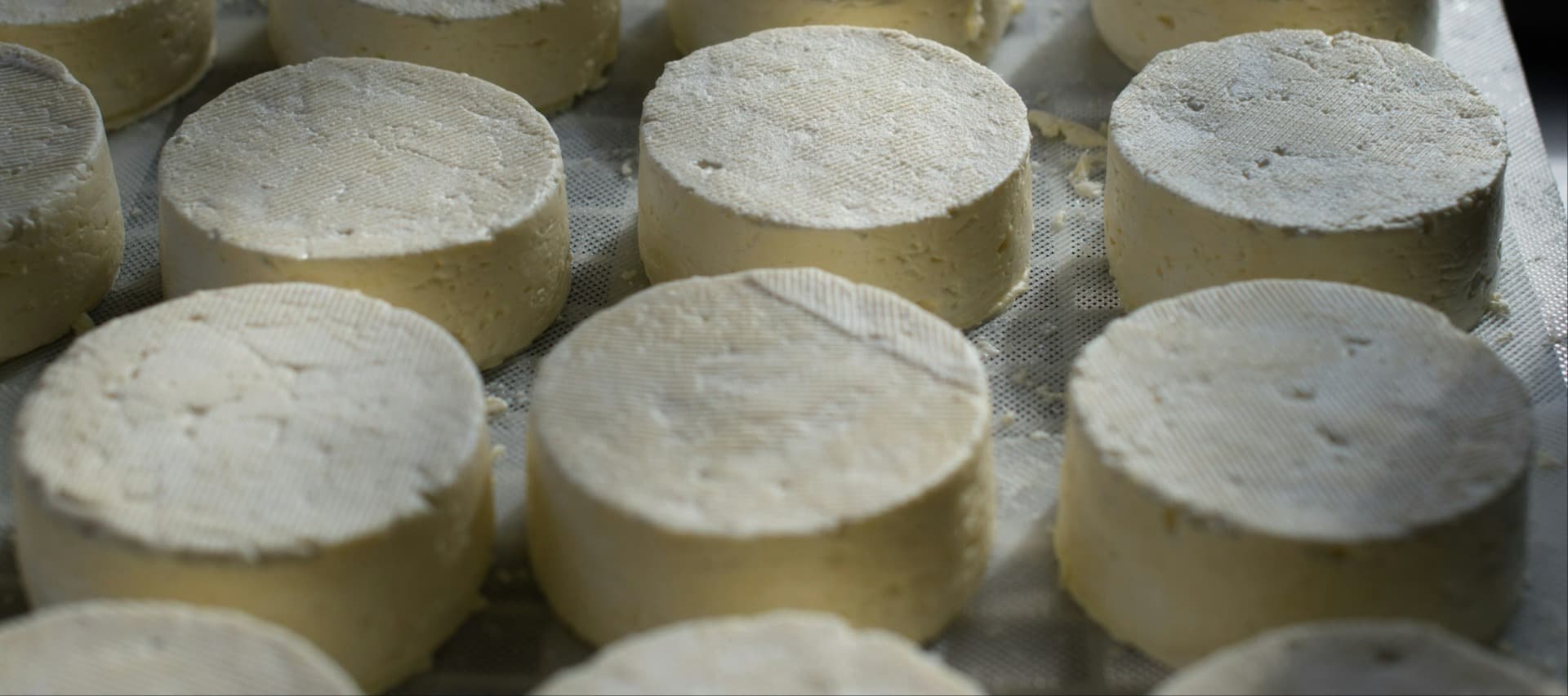Фото новости: "Потребление сыра в России в 2023 г. впервые превысило 1 млн т"