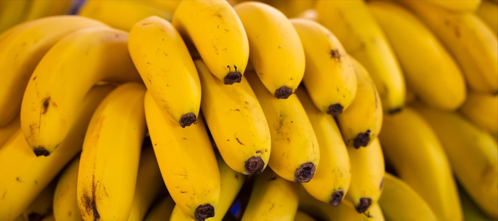 Фото новости: "Импортеров бананов предупредили о проблемах из-за беспорядков в Эквадоре"
