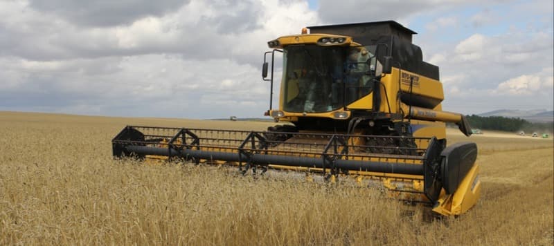 Фото новости: "Зерновой союз: российские сельхозпроизводители могут массово обанкротиться"