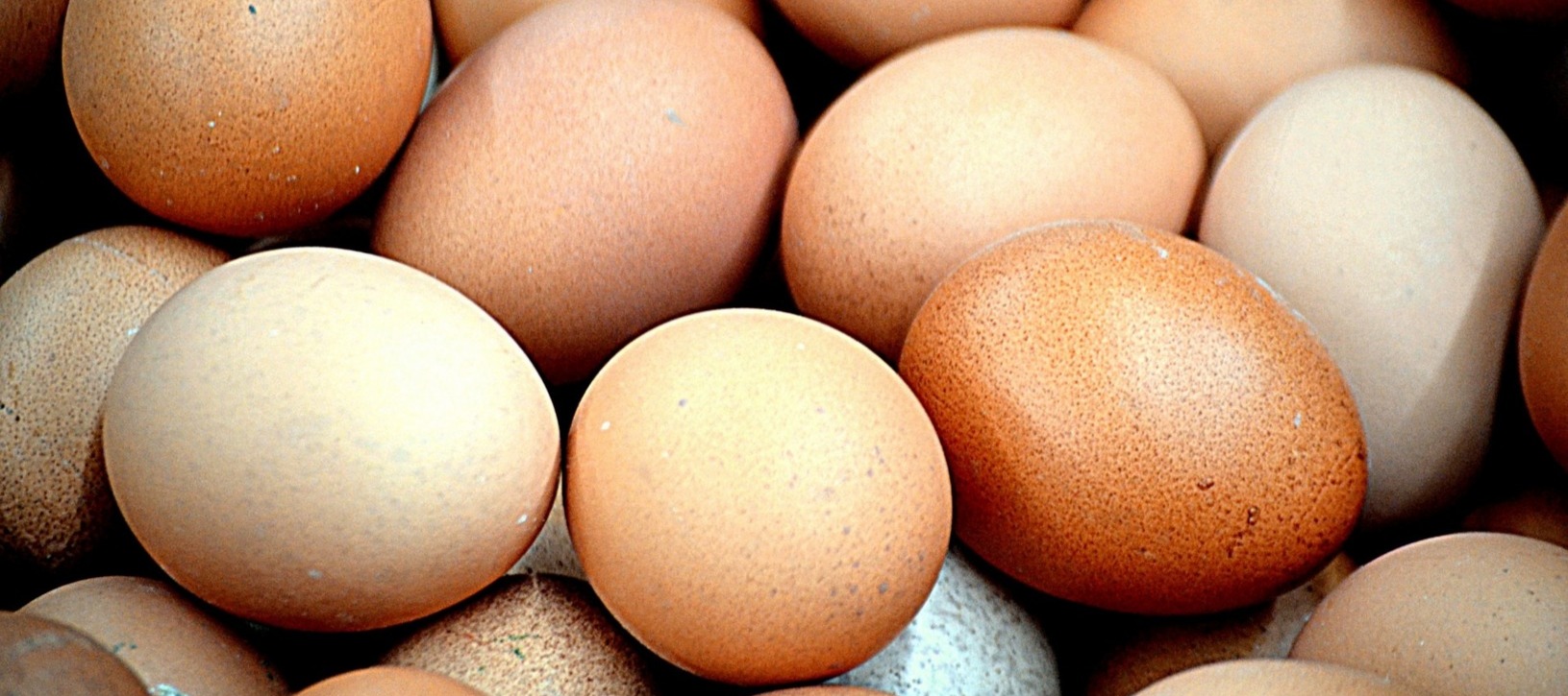 Фото новости: "Производство яиц в России упало в первом квартале"
