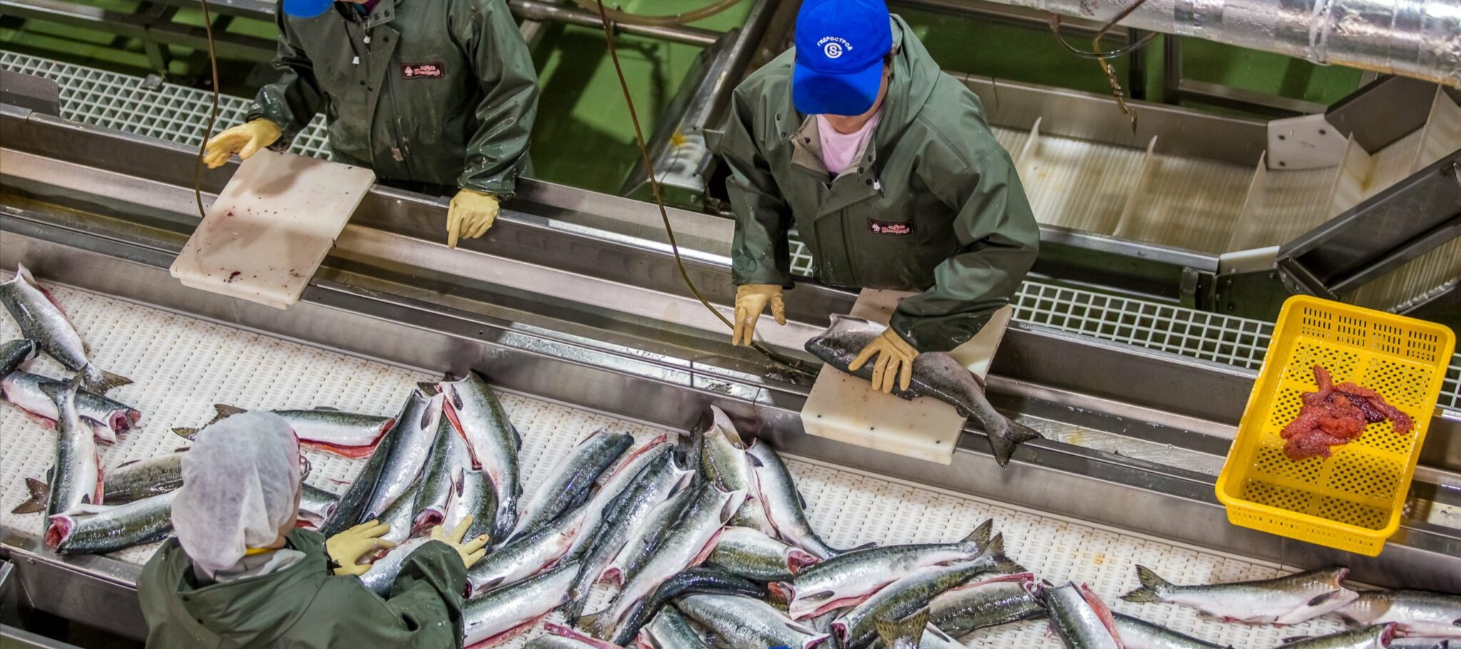 Фото новости: "Рентабельность морского рыболовства снижается быстрее других отраслей"