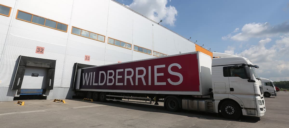 Фото новости: "Власти Подольска не смогли добиться сноса крупного склада Wildberries"