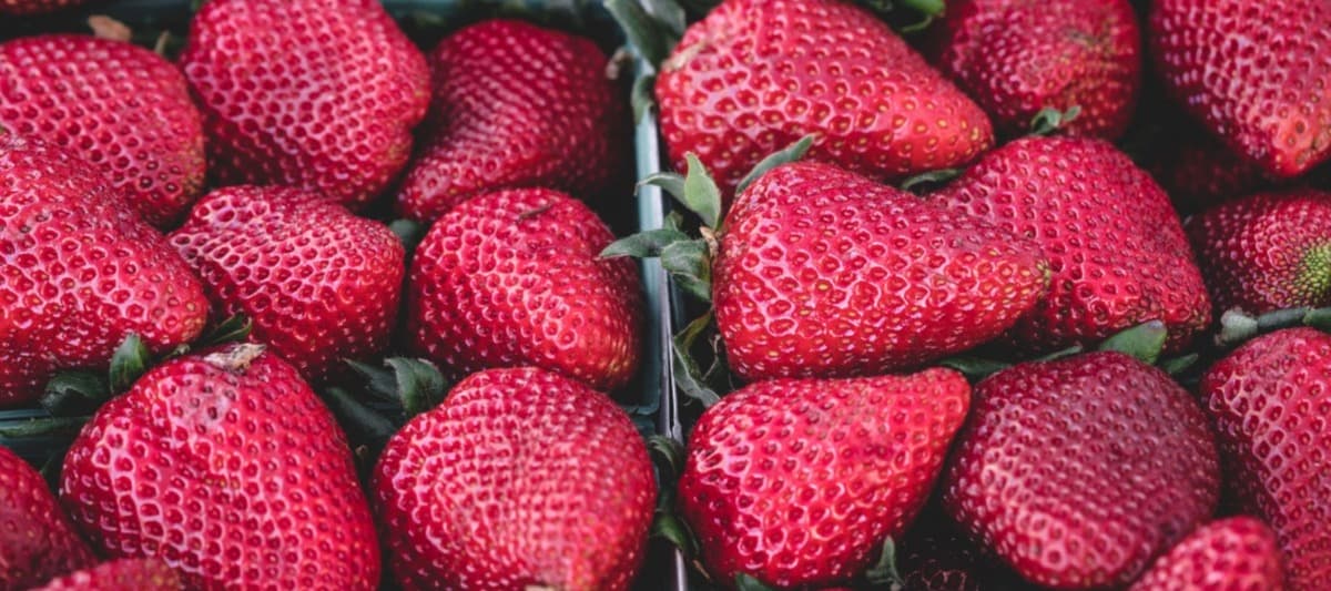 Фото новости: "Производство ягод в России может сократиться из-за санкций"