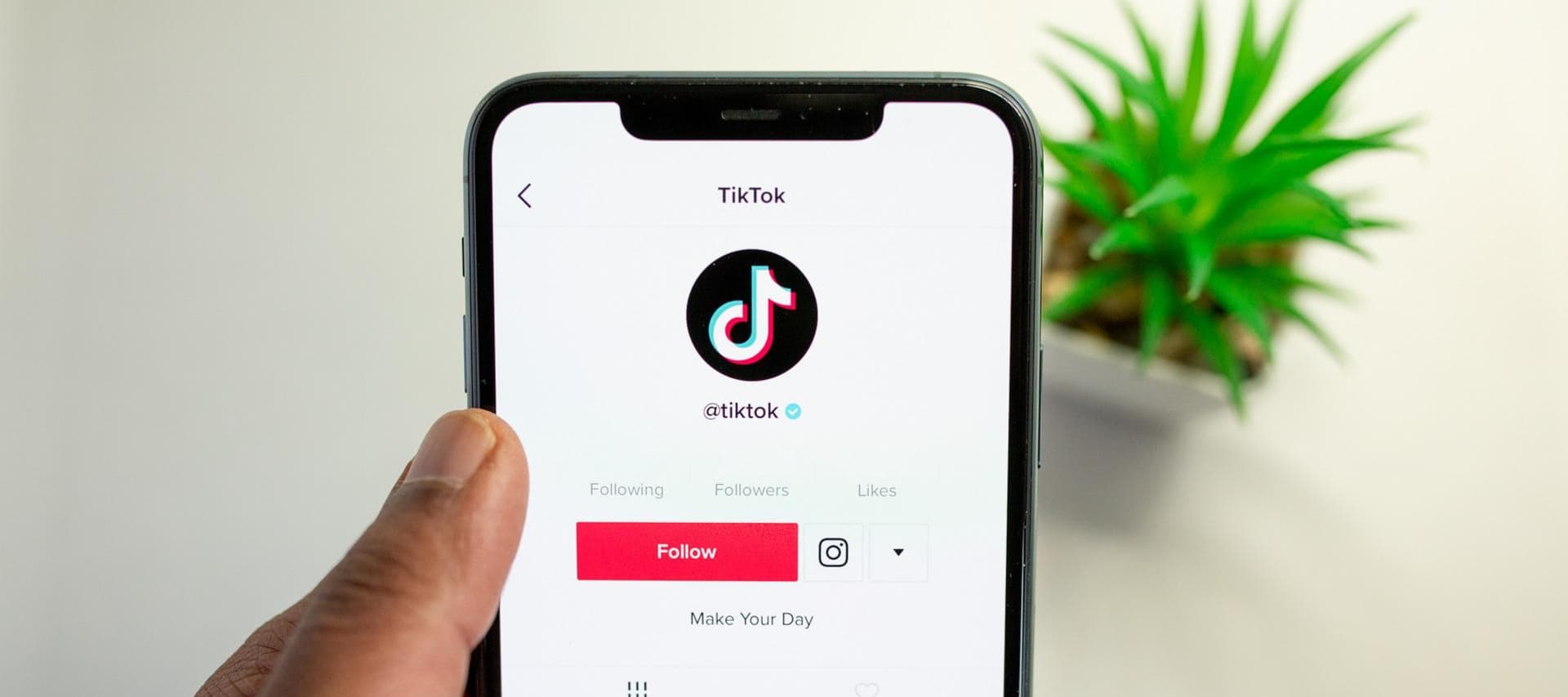 Фото новости: "TikTok отбирает у поиска и карт Google молодую аудиторию"