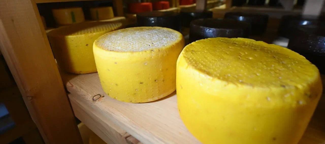 Фото новости: "В Подмосковье построят завод по производству сыров за 1 млрд руб."