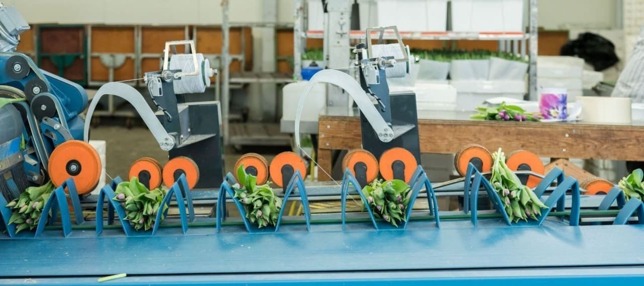 Фото новости: "Flowwow запустил сборку букетов на конвейере"
