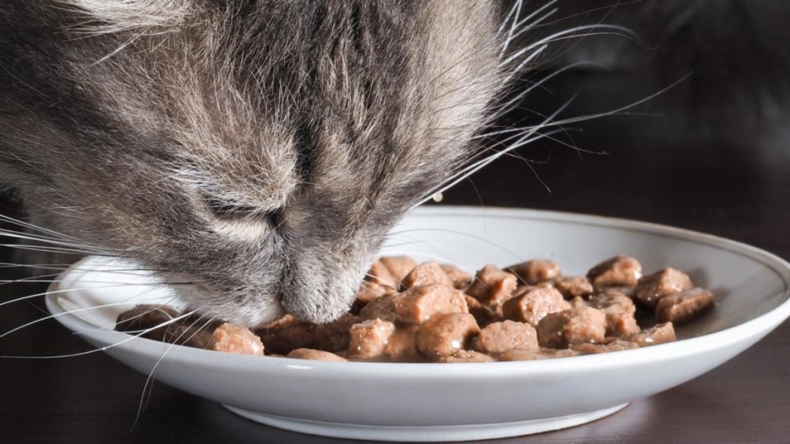 Фото новости: "Ozon будет продавать товары для животных своей марки Pet pride на других маркетплейсах"
