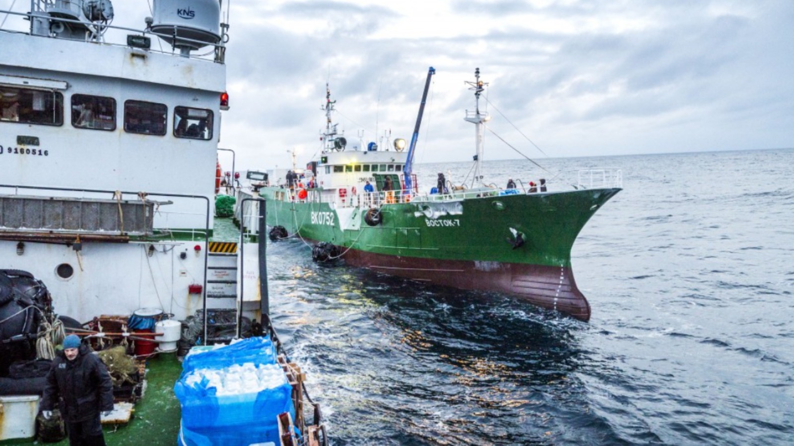 Фото новости: "Суд взыскал более 37,6 млрд руб. с рыбколхоза «Восток-1»"