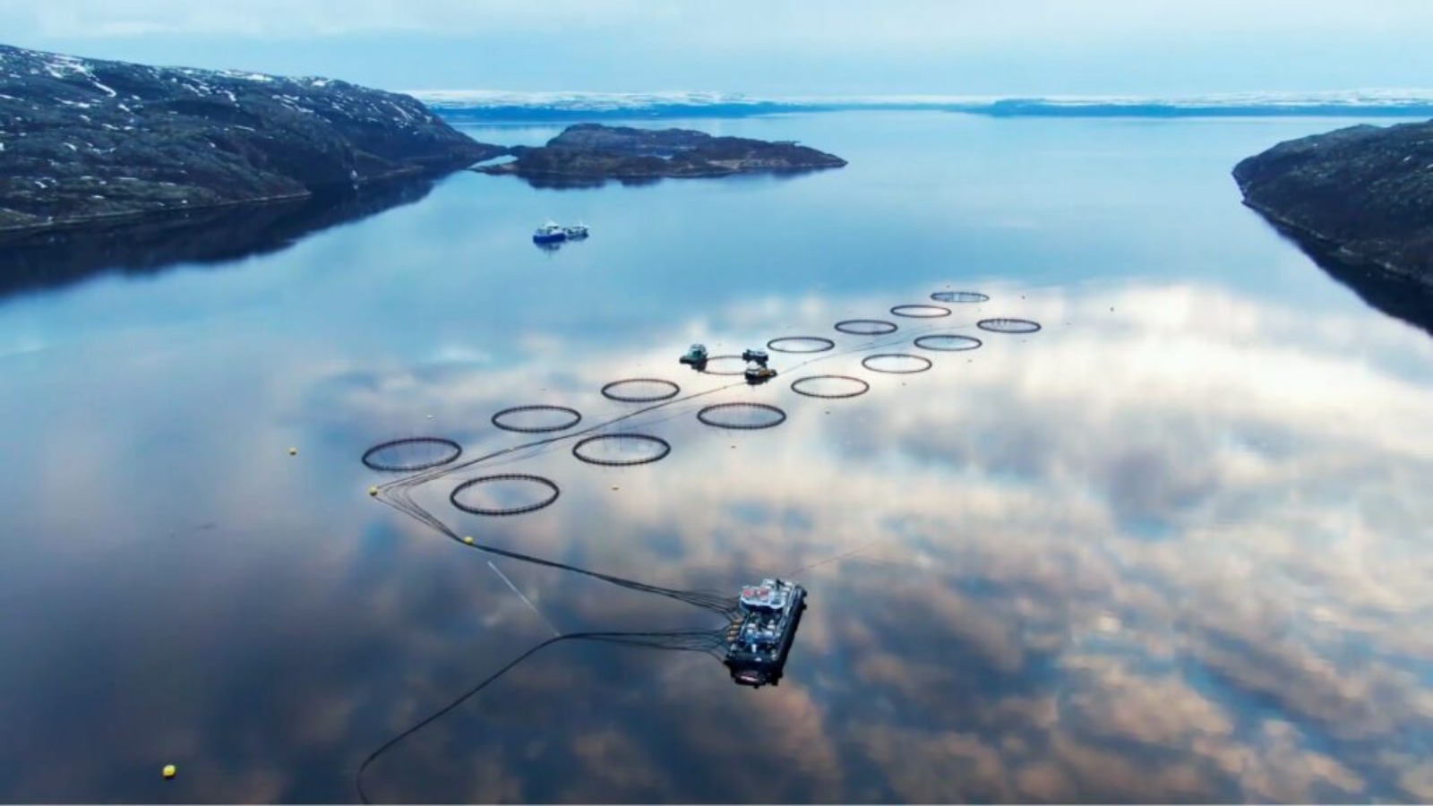 Фото новости: "В России могут создать реестр недобросовестных участников рыбоводных аукционов"