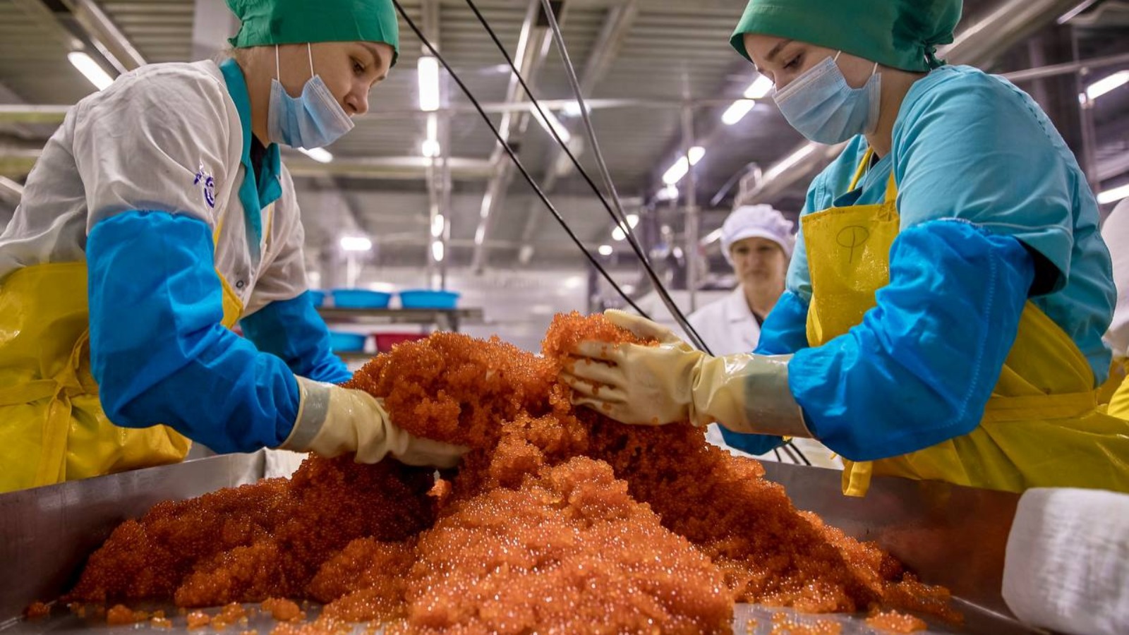 Фото новости: "Роскачество нашло кишечную палочку в пяти брендах красной икры"