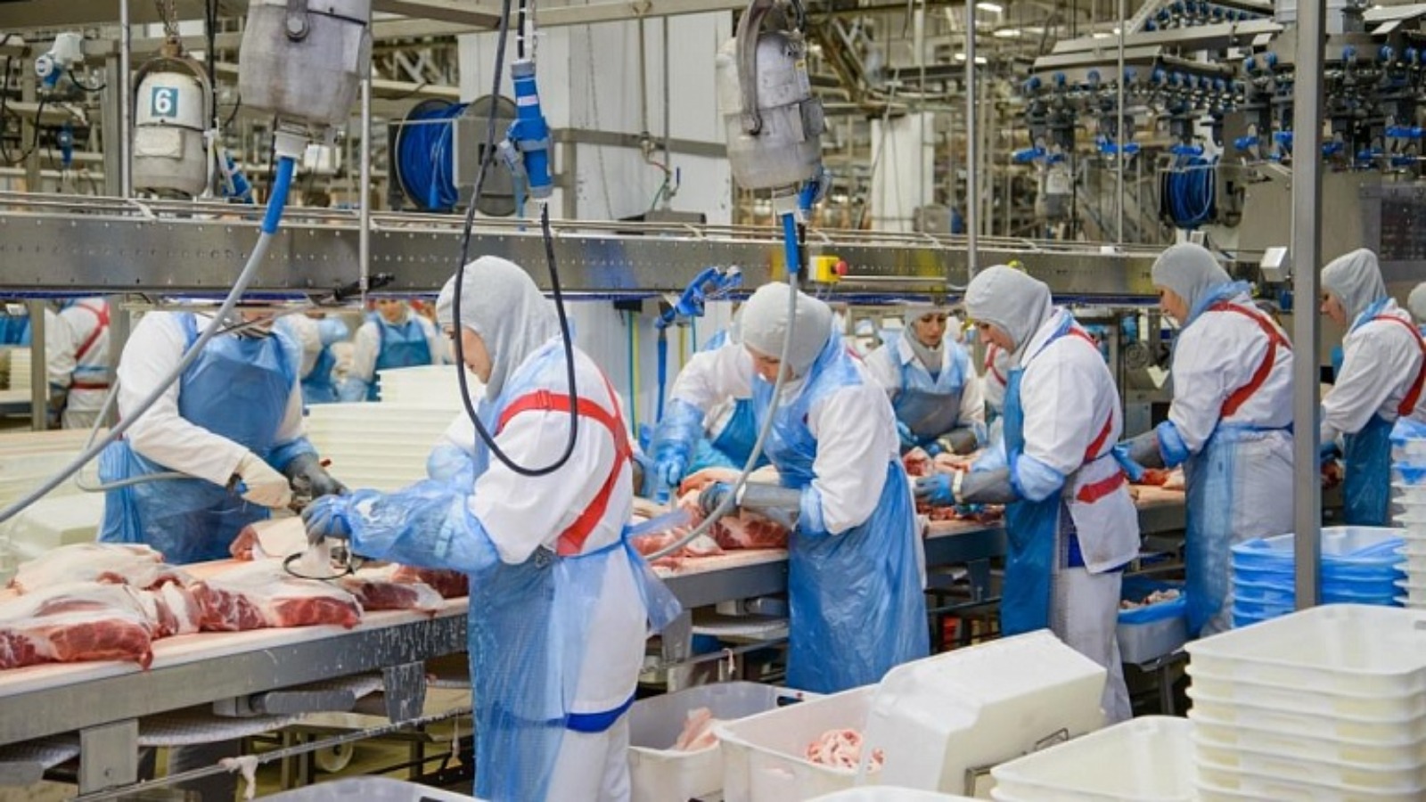 Фото новости: "«Мираторг» потерял более 15 млрд руб. из-за обстрелов приграничных предприятий"