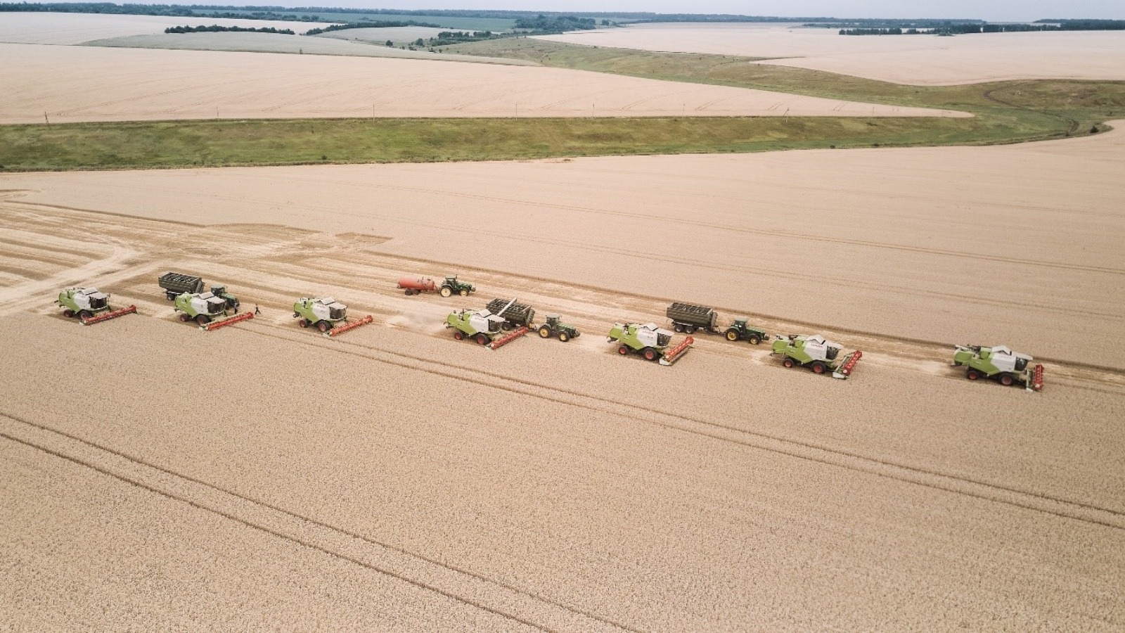 Фото новости: "Выручка «Русагро» выросла на 16% в 2025 г."