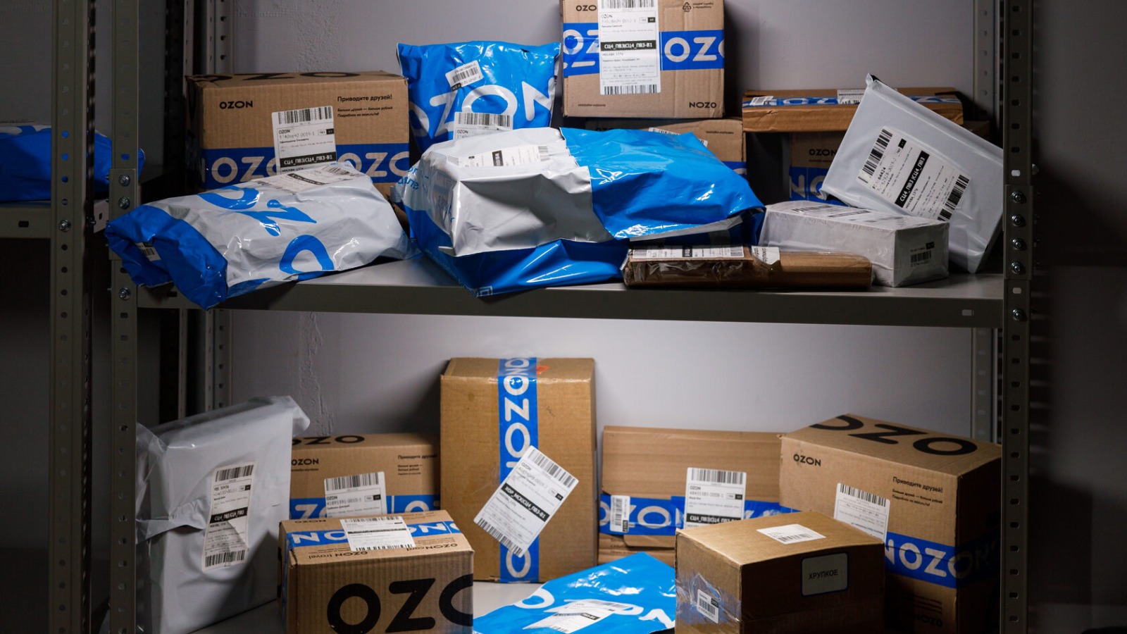 Фото новости: "Т-Банк добавил возможность покупать товары продавцов Ozon в банковском приложении"