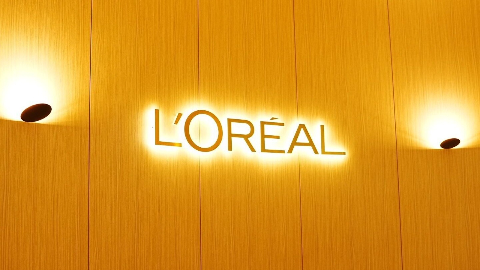 Фото новости: "L’Oreal подала иск на 702 млн руб. к российской таможне"