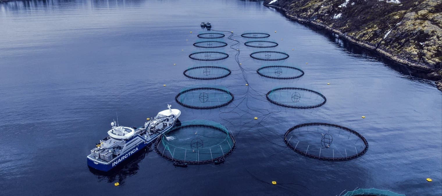 Фото новости: "Российские рыбозаводы просят ограничить экспорт рыбной муки и рыбьего жира"