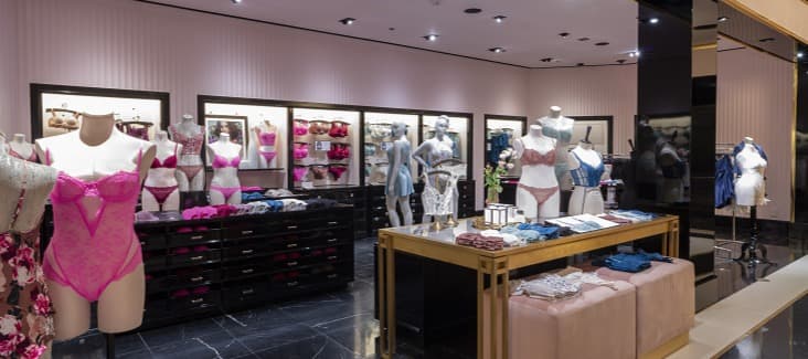 Фото новости: "Бренд женского белья Victoria’s Secret покупает онлайн-конкурента"