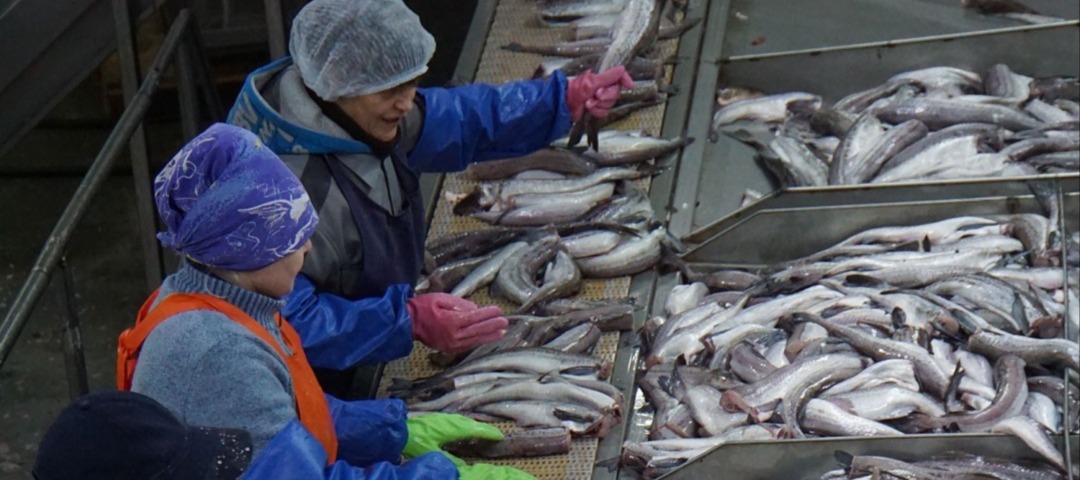 Фото новости: "Близкая к экс-министру Ткачеву компания выкупила у Сбербанка долги камчатского рыбозавода"