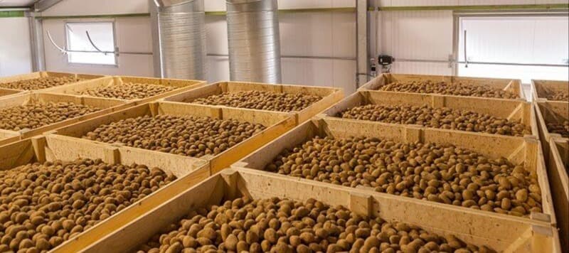Фото новости: "У аграриев возникла нехватка овощехранилищ из-за рекордного урожая картофеля"