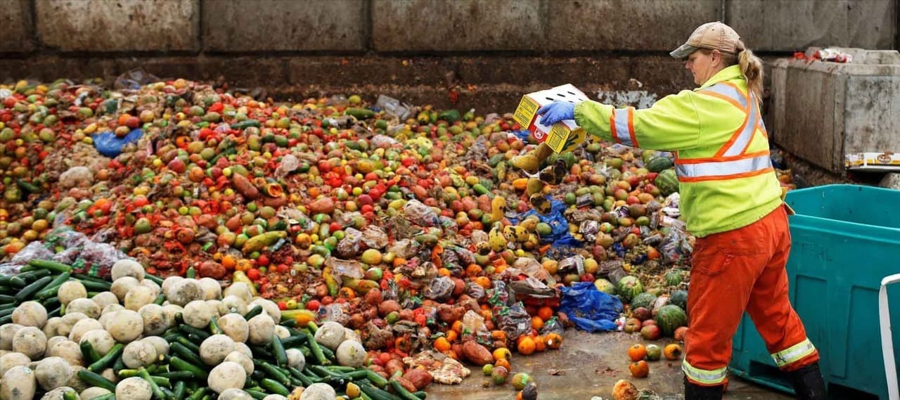 Фото новости: "Фальсифицированные продукты будут отдавать на корм животным"