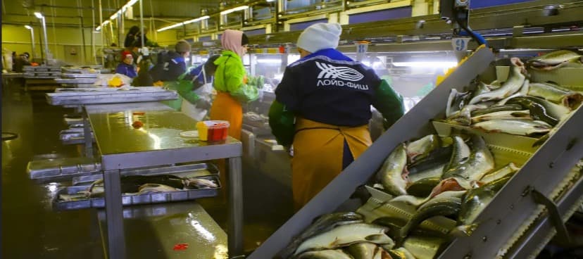 Фото новости: "«Дочка» АФК «Системы» купила камчатскую рыбодобывающую компанию"