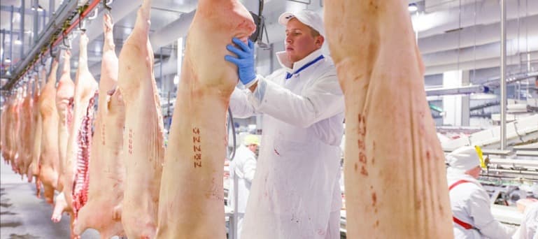 Фото новости: "Оптовые цены на курицу и свинину в России начали падать"