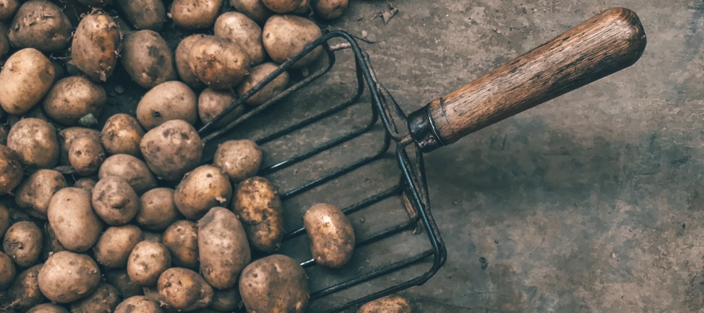 Фото новости: "Правительство сократило субсидии на производство картофеля и овощей"
