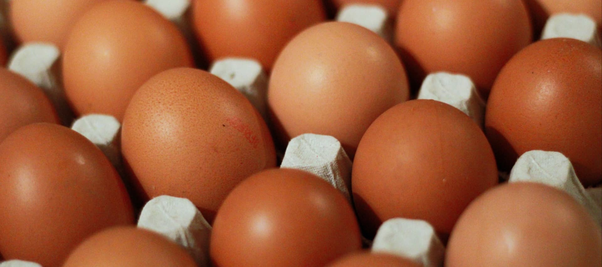 Фото новости: "Вице-премьер Абрамченко поручила увеличить производство курятины и яиц"