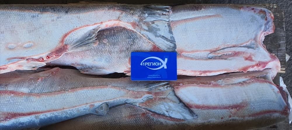 Фото новости: "Камчатский рыбзавод «Сокра» признали банкротом"