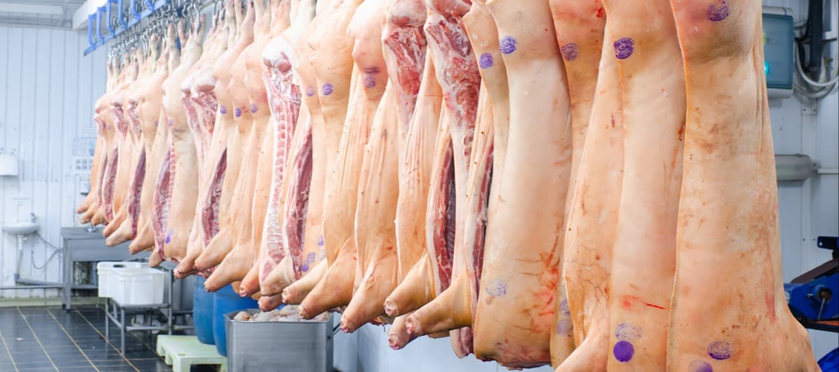 Фото новости: "Потребление свинины в России в 2023 г. может превысить 30 кг на человека"