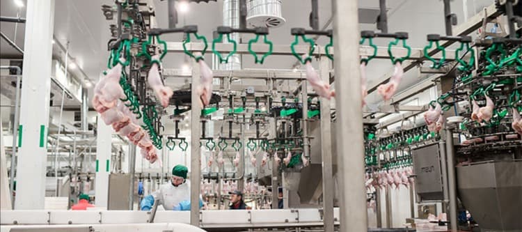 Фото новости: "Владелец бренда «Троекурово» вложит более 150 млн руб. в увеличение производства курятины"
