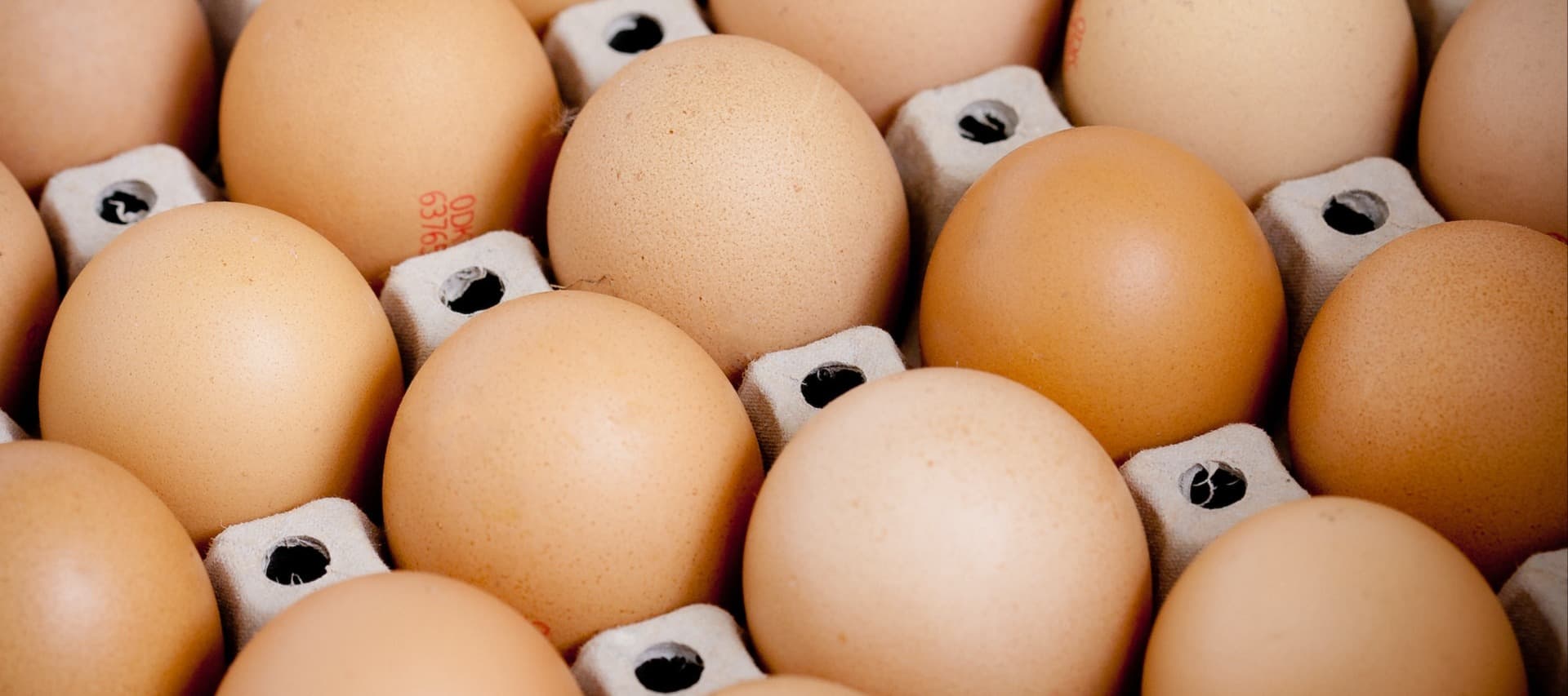 Фото новости: "Власти регионов начали договариваться с птицефабриками о ценах на яйца"