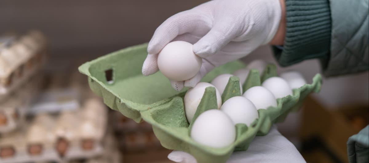 Фото новости: "Рост цен на яйца начал замедляться"