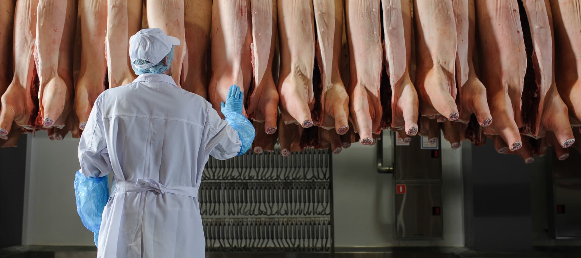Фото новости: "Российские производители мяса выступили против введения отчетности о парниковых газах"