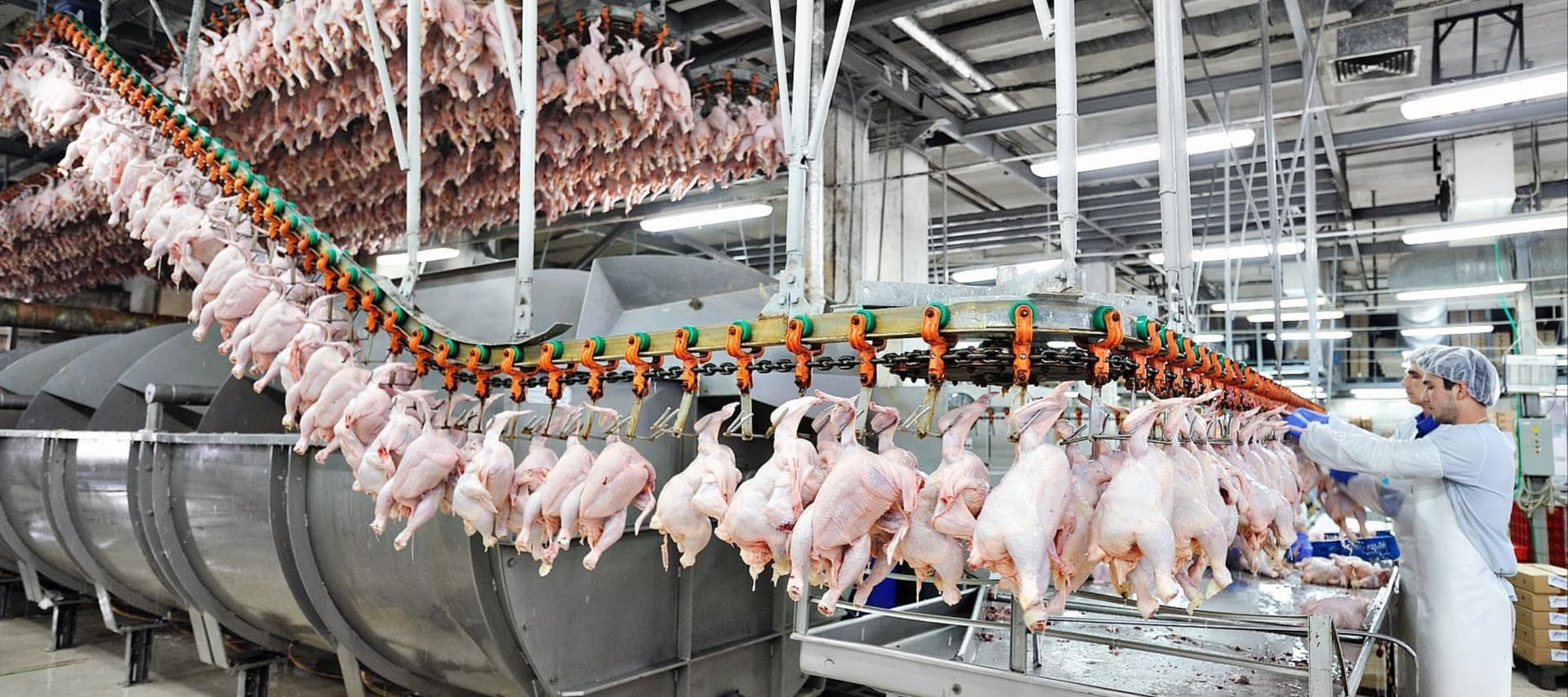 Фото новости: "Крупнейший производитель курицы в России будет выпускать байтсы и стрипсы для Rostic’s"