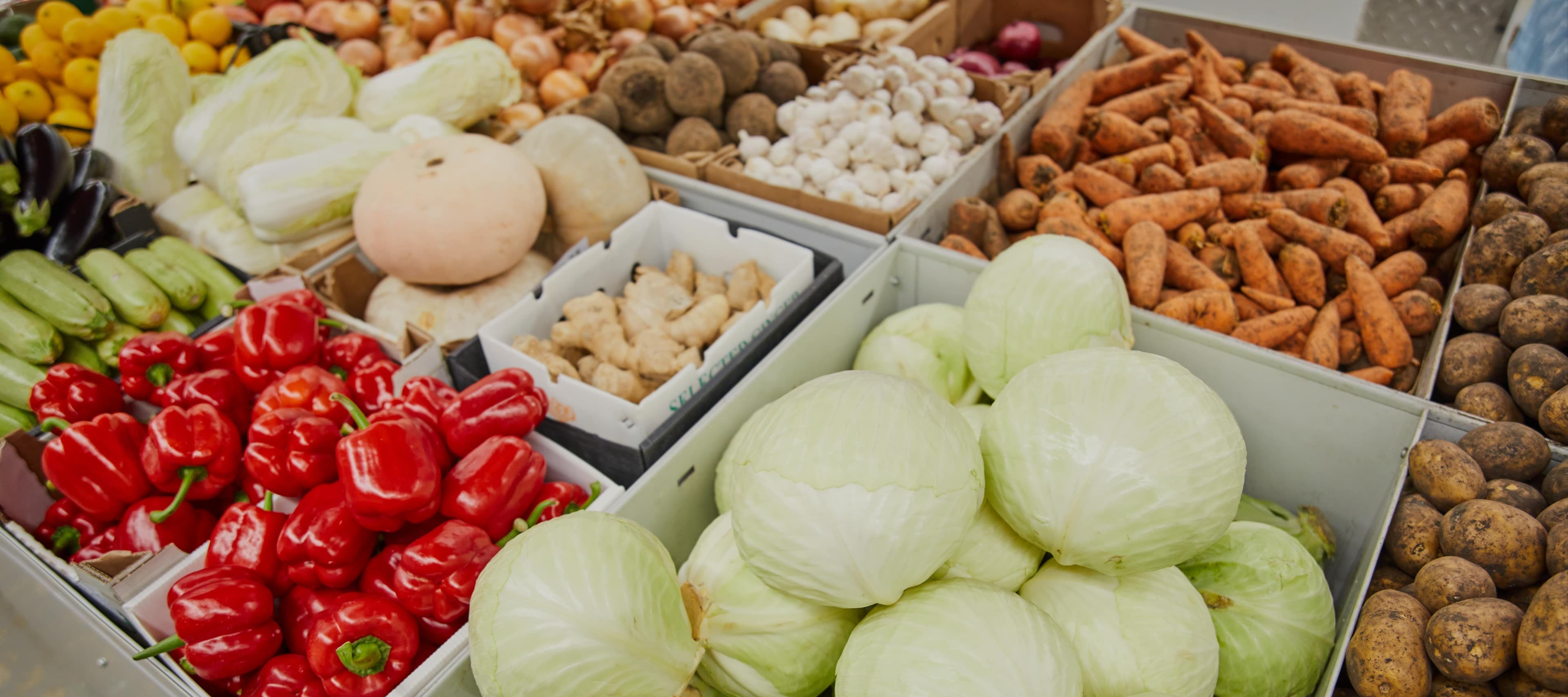Фото новости: "«Магнит» в 2023 г. увеличил поставки овощей и фруктов по агроконтрактам до 420 000 т"