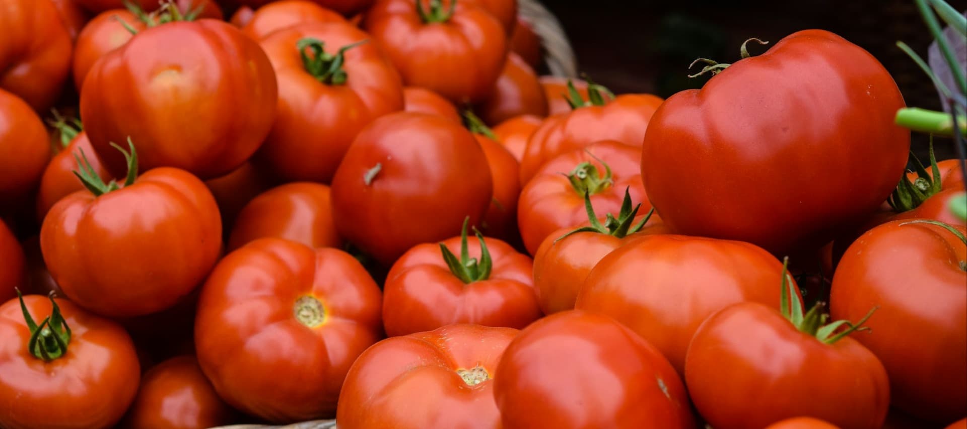 Фото новости: "В России обнулили пошлины на ввоз томатов до 31 мая"