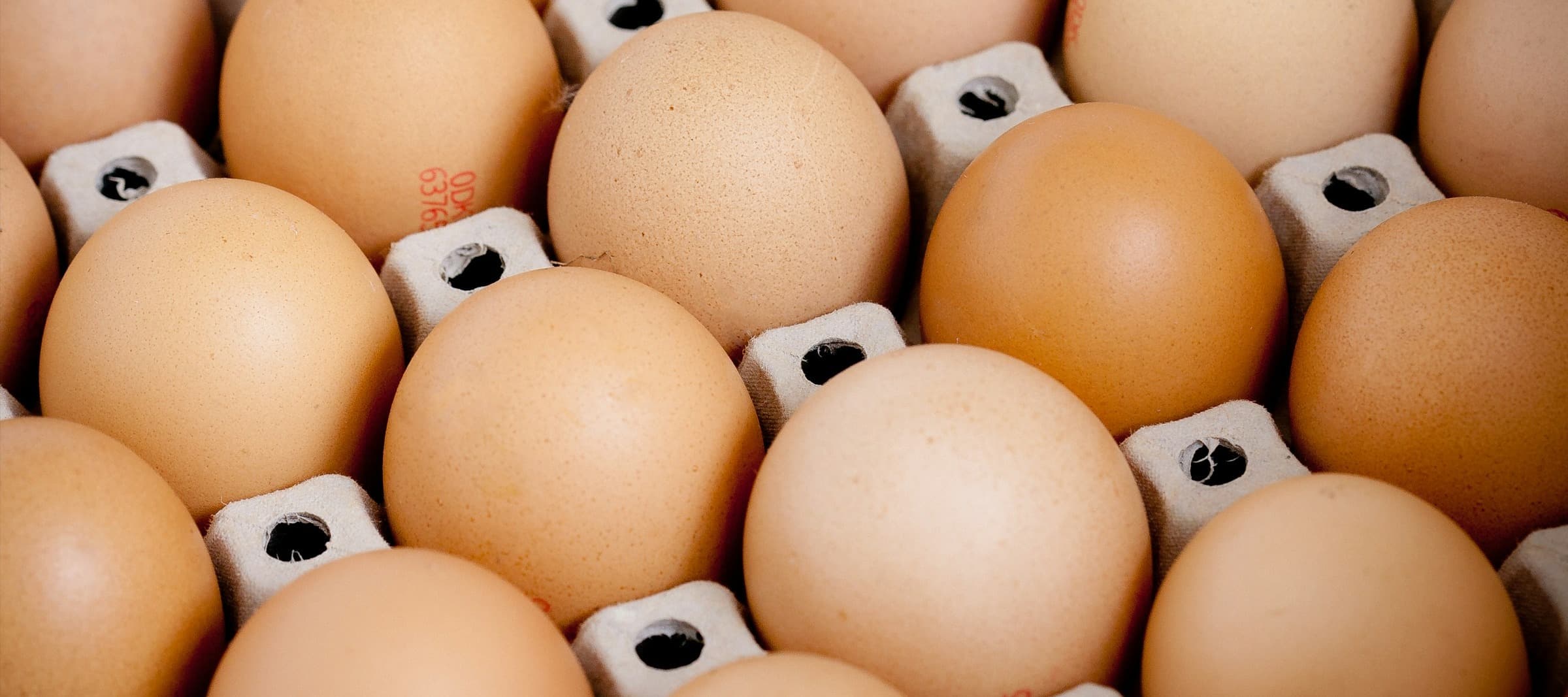Фото новости: "Федеральная антимонопольная служба начала проверку торговых сетей из-за цен на яйца"