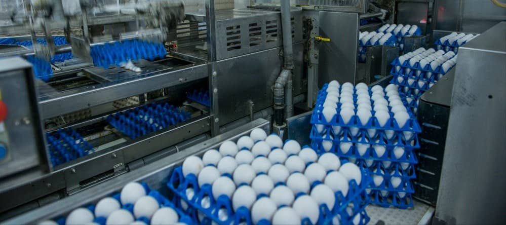Фото новости: "Крупнейшие российские производители яиц кратно увеличили прибыль в 2023 г."