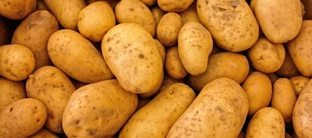 Фото новости: "Бангладеш возобновит экспорт картофеля в Россию в 2023 г."