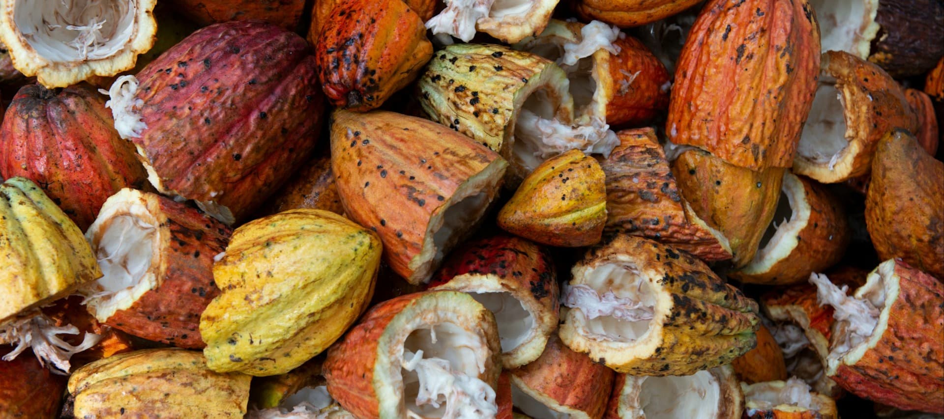 Фото новости: "Цены на какао на бирже снова обновили исторический рекорд"
