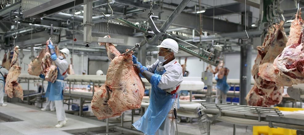 Фото новости: "«АФГ Националь» купила производителя говядины «Праймбиф»"