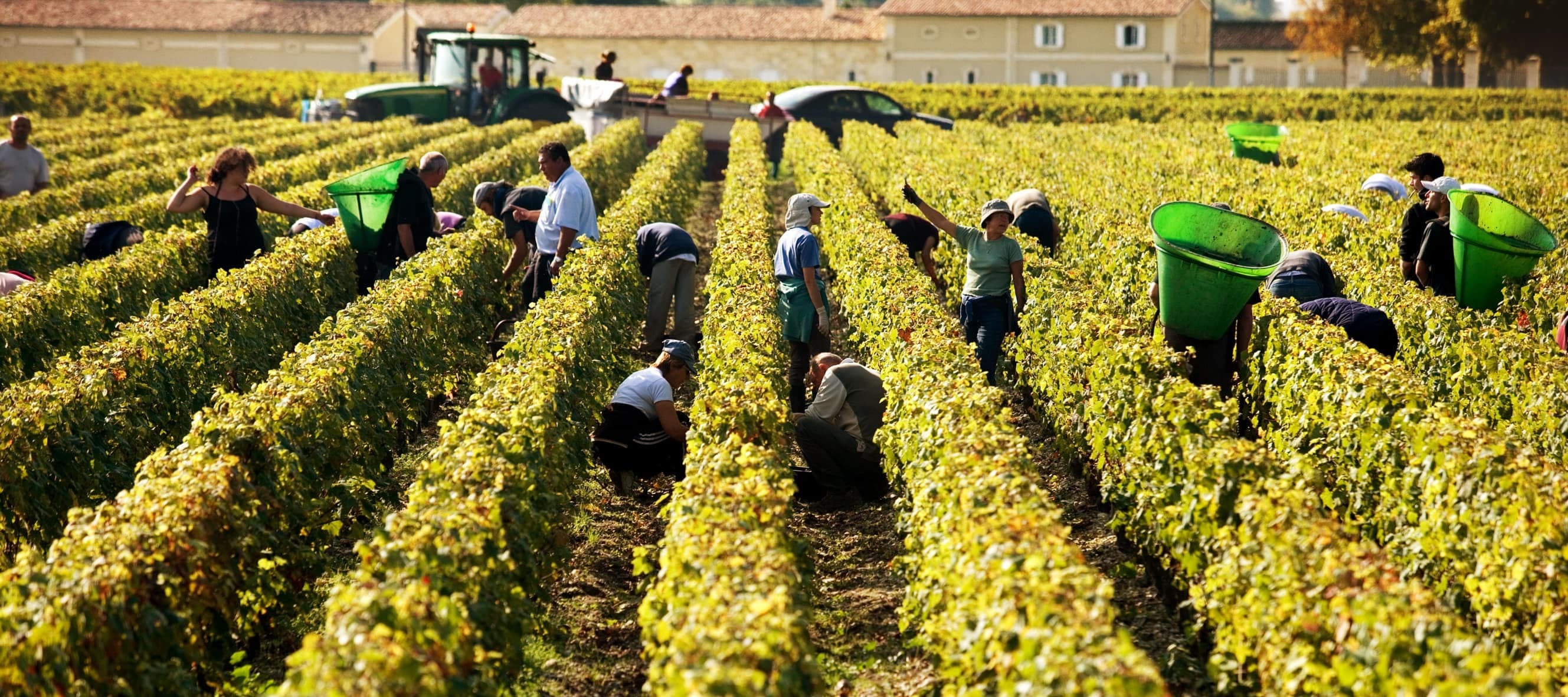 Фото новости: "У французских виноделов из Бордо возник переизбыток вина"