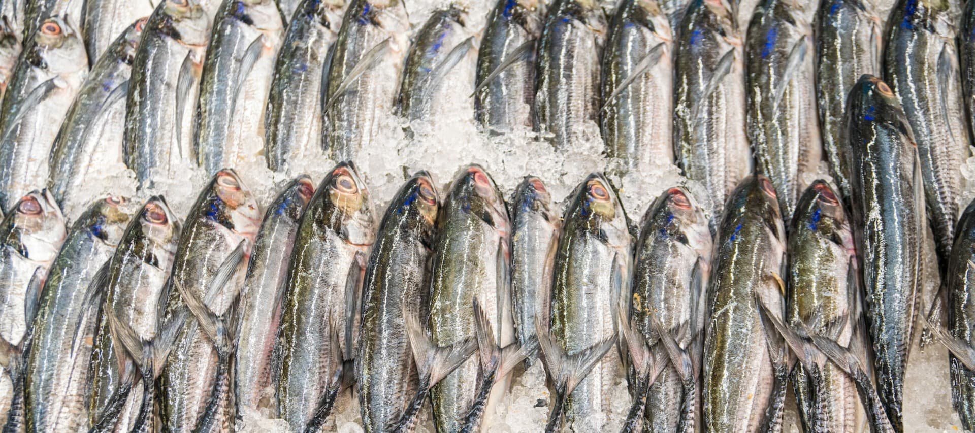 Фото новости: "Рыбный союз предложил повысить норматив глазури для рыбы и морепродуктов"