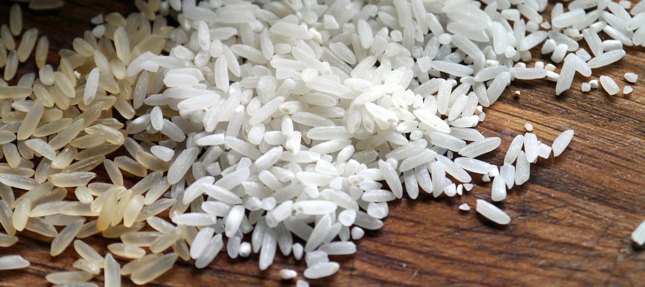 Фото новости: "Нехватка воды грозит сокращением урожая риса в Краснодарском крае на 40%"