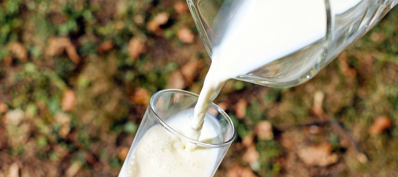 Фото новости: "«Союзмолоко»: через пять лет Россия сможет полностью обеспечивать себя молоком"