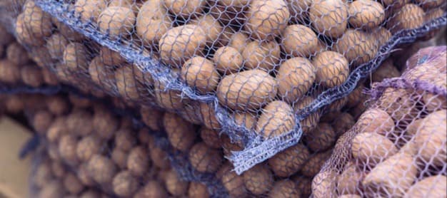 Фото новости: "Российские экологи предложили запретить продавать овощи и фрукты в сетках"