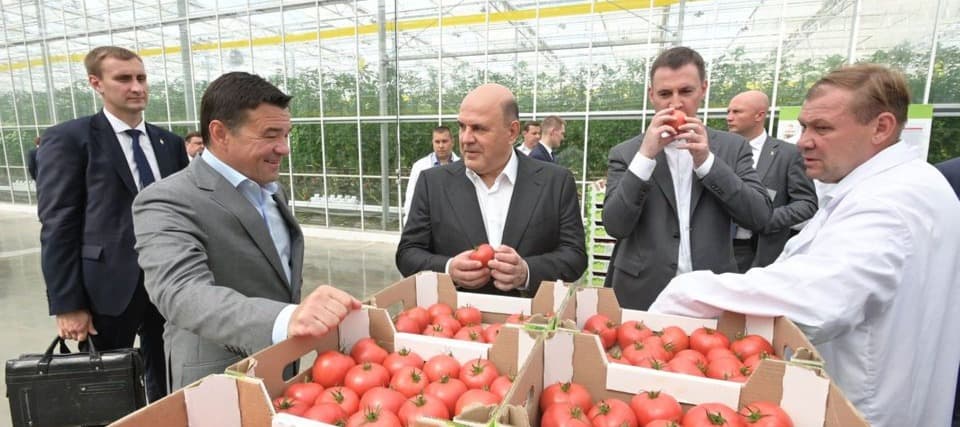 Фото новости: "Правительство выделит новые субсидии производителям овощей"