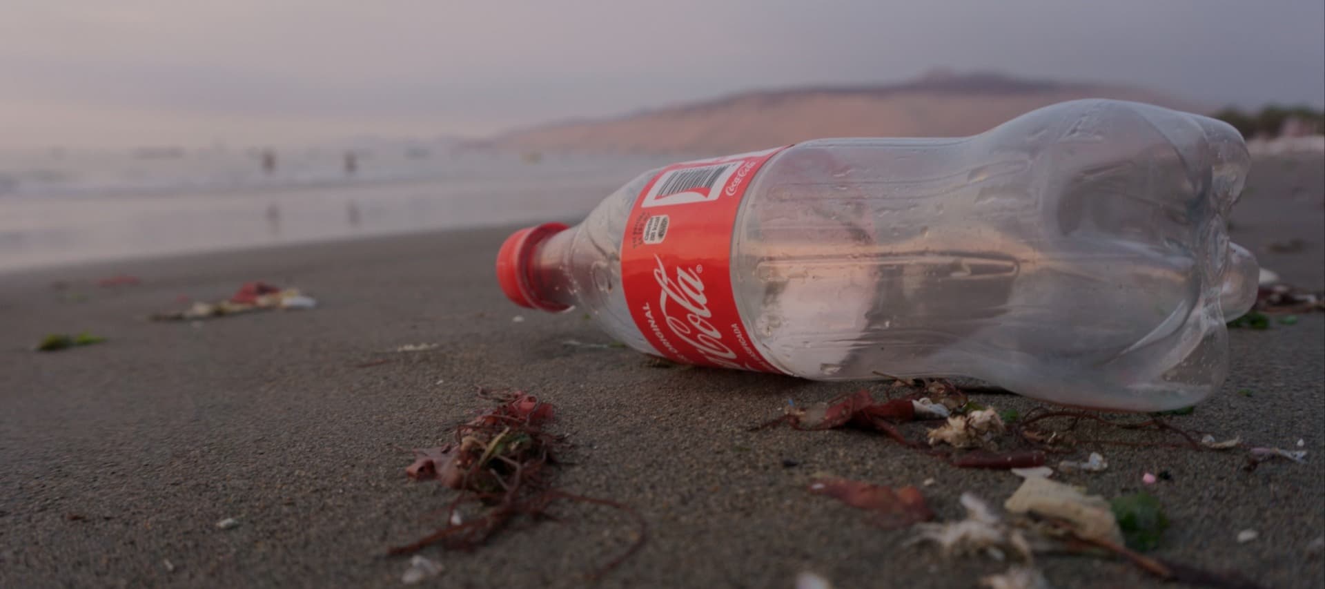 Фото новости: "Coca-Cola инвестировала в стартап для переработки цветной упаковки и контейнеров"