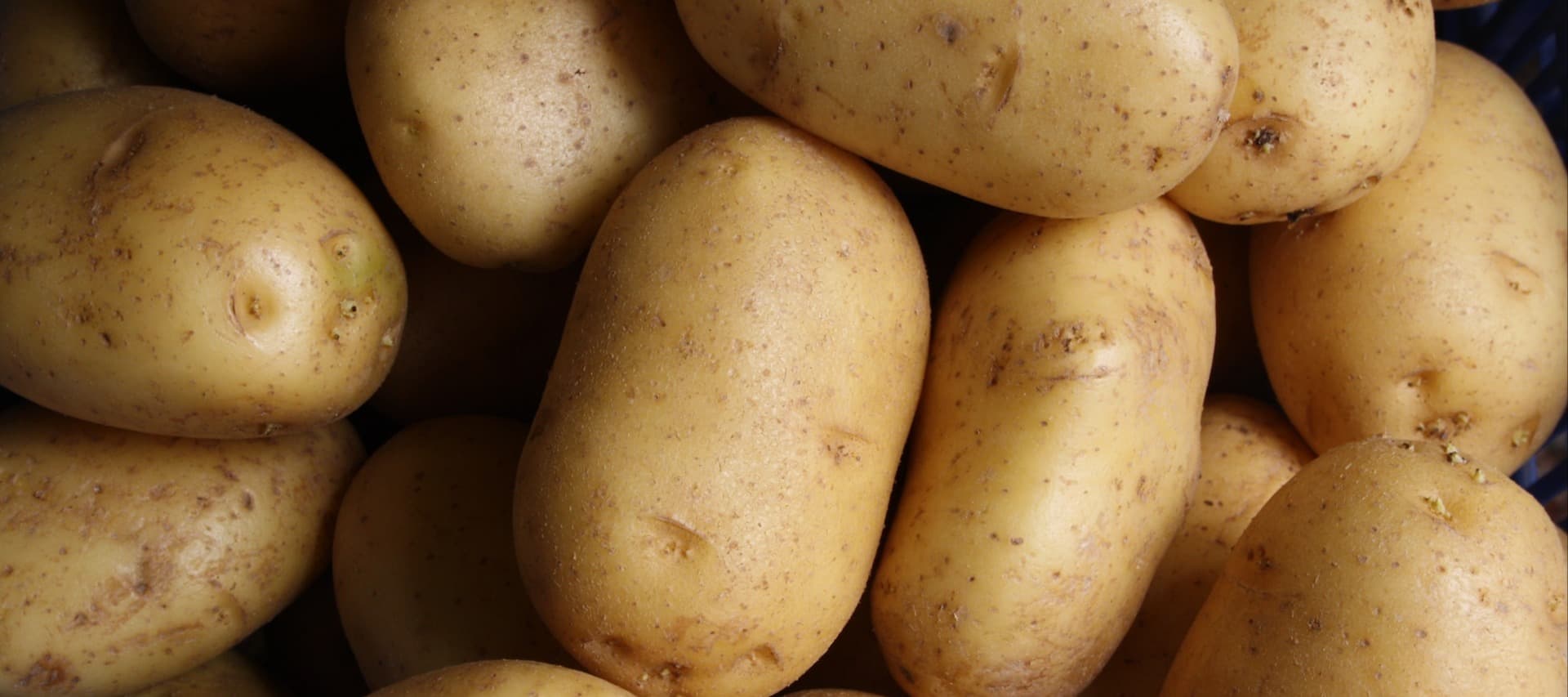 Фото новости: "«Мираторг» построил системы орошения для выращивания семян зерновых и картофеля"