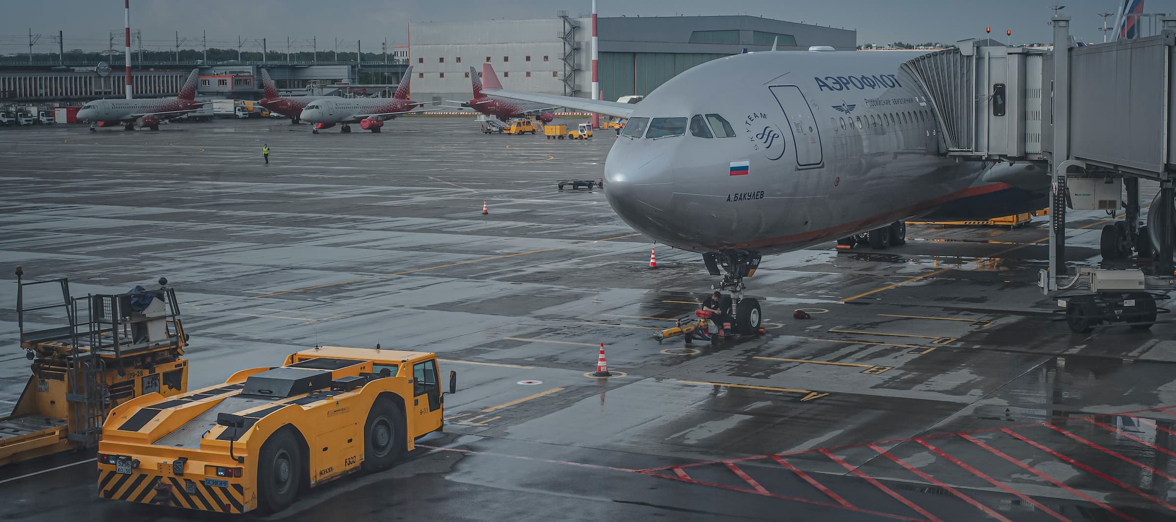 Фото новости: "Россияне скупили авиабилеты в страны ближнего и дальнего зарубежья"